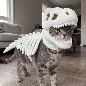 Glow-in-the-Dark Dinosaur Skeleton Pet Costume