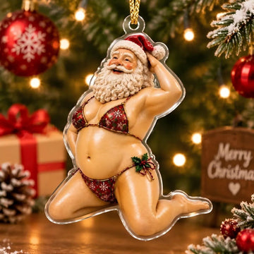 Funny and Cheeky Christmas Decorations