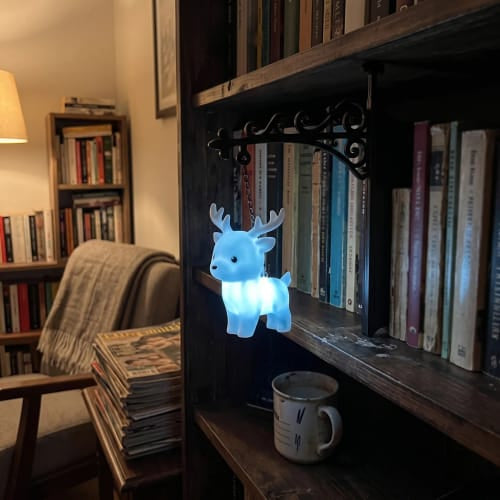 Enchanted Hanging Owl Bookshelf Light