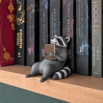 Whimsical Reading Raccoon Shelf Sitter