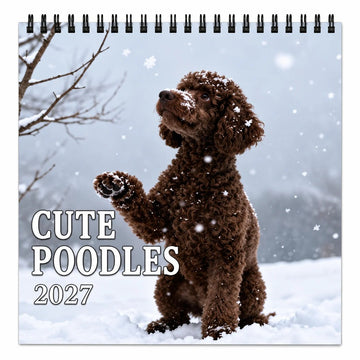 2027 Cute Poodle Calendar – 12 Months of Fluffy Poodle Charm