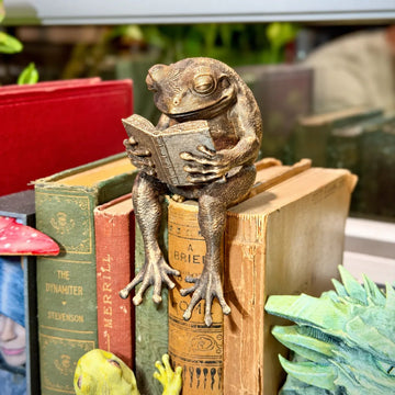 Reading Frog Shelf Sitter