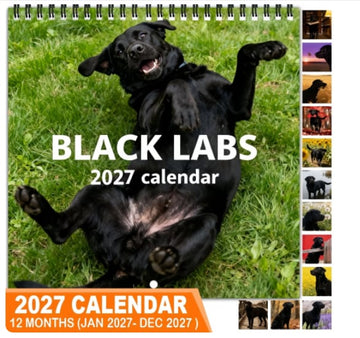 Black Labs 2027 Wall Calendar