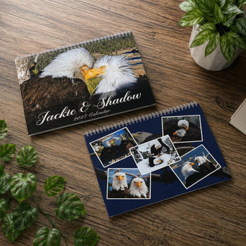 Jackie & Shadow 2027 Bald Eagle Wall Calendar