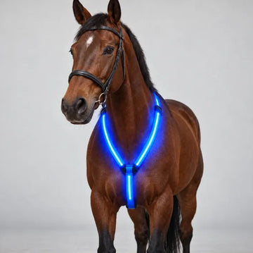 Light-up Horse-riding Set