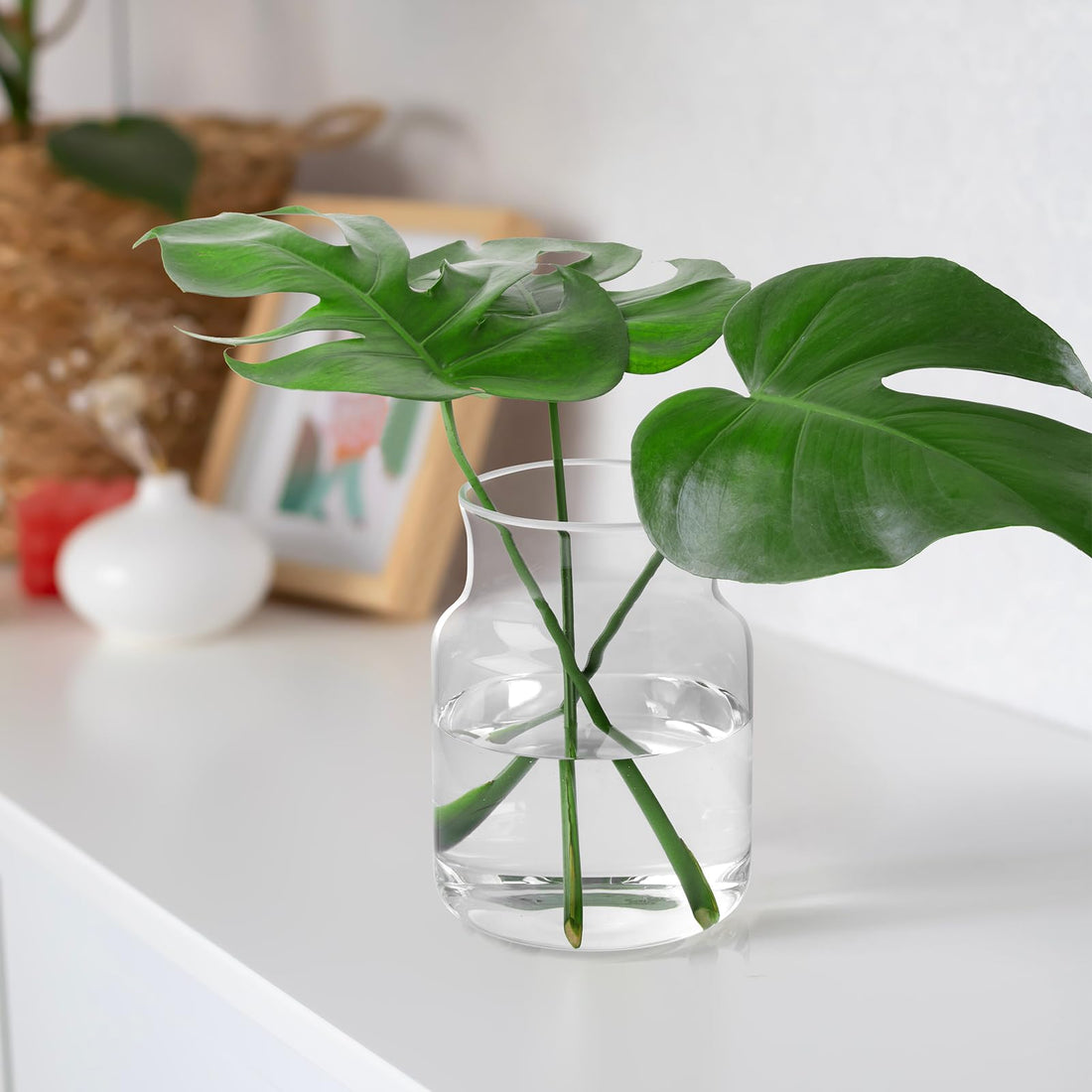 Clear Borosilicate Glass Vase – 8" Large Wide Mouth Flower Vase