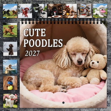 2027 Cute Poodles Calendar